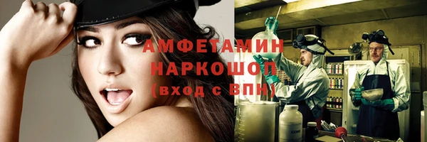 индика Переславль-Залесский