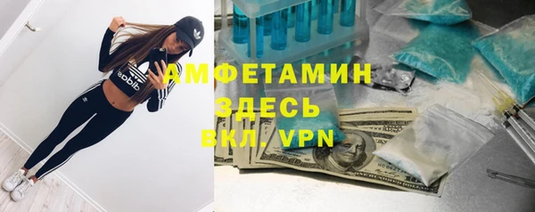 индика Переславль-Залесский