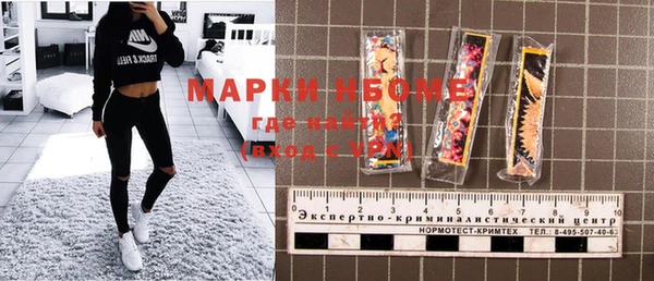 индика Переславль-Залесский