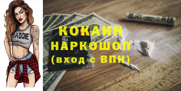 индика Переславль-Залесский