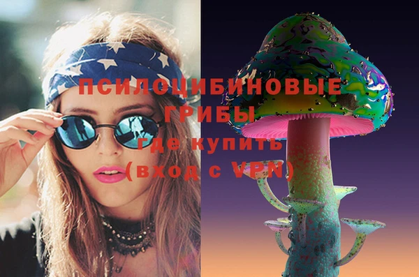 индика Переславль-Залесский