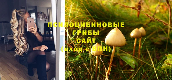 меф Пестово