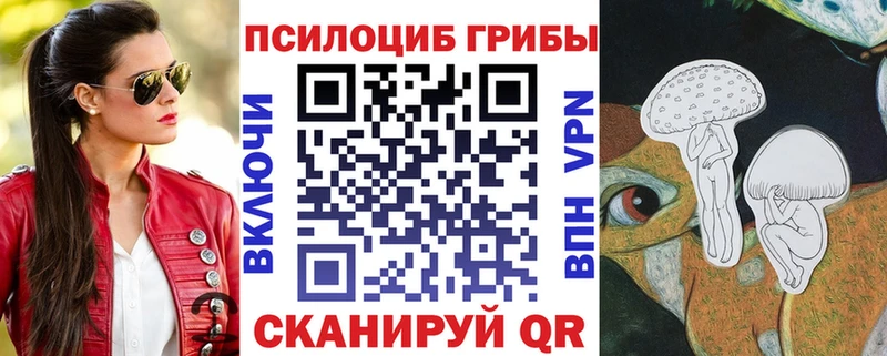 купить   Сурск  маркетплейс состав  Галлюциногенные грибы прущие грибы  гидра tor 