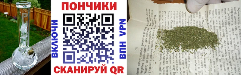 Канабис Amnesia  купить   Сурск 